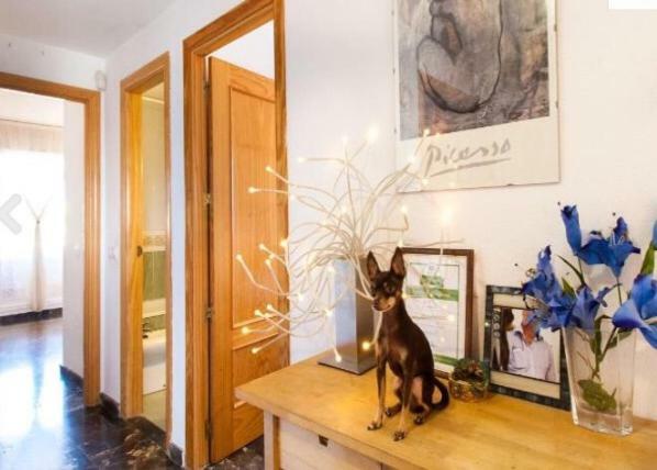 Penthouse With Private Roof Terrace And Jacuzzi Leilighet Fuengirola Eksteriør bilde